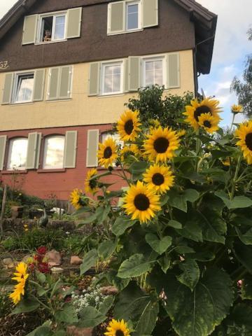 شرامبرغ Sonnige Ferienwohnung المظهر الخارجي الصورة